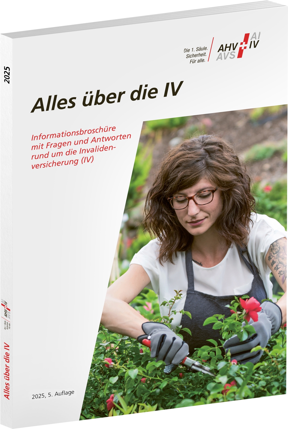 Alles über die IV